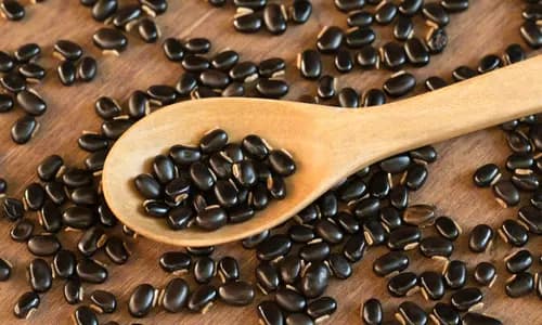 Mucuna Pruriens & Maca Root – Echoxen ear health ingredient