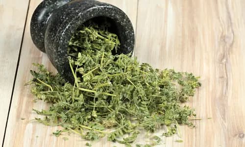 Epimedium & Tribulus Terrestris – Echoxen ear health ingredient