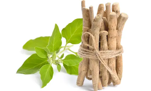Ashwagandha & Piperine – Echoxen ear health ingredient
