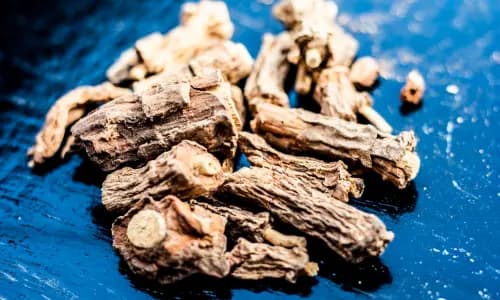 Sarsaparilla Root & Asparagus – Echoxen ear health ingredient